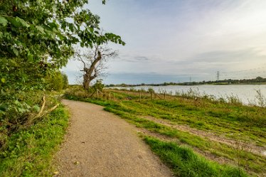 F23_4234r1 4th October 2023: Tucklesholme October walk: Walk up the west side of the lake: © 2023 Paul L.G. Morris