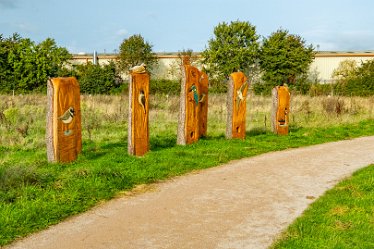 F23_4261r1 4th October 2023: Tucklesholme October walk: Walk up the west side of the lake: Sculptures in wood: © 2023 Paul L.G. Morris