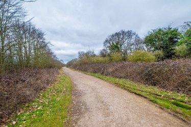 F23_0252r1 Croxall Lakes toddler walk. February 2023: © Paul L.G. Morris