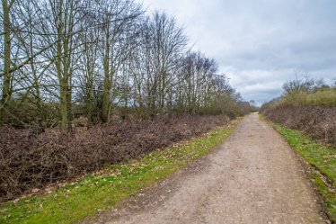 F23_0255r1 Croxall Lakes toddler walk. February 2023: © Paul L.G. Morris