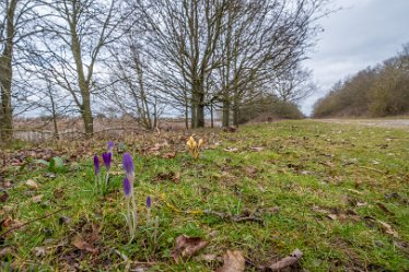 F23_0273r1 Croxall Lakes toddler walk. February 2023: © Paul L.G. Morris