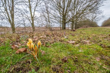 F23_0279r1 Croxall Lakes toddler walk. February 2023: © Paul L.G. Morris