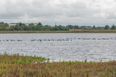 Tuckesholme by Paul L.G. Morris Tucklesholme Nature Reserve © 2020-2021 by Paul L.G. Morris. Many of these photos were taken for the Virtual Tours...