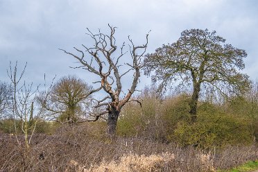 Tucklesholme toddler walk February 2023 Tucklesholme toddler walk. February 2023: © Paul L.G. Morris