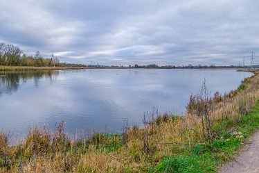 F21_8007r1x2j1 23rd November 2021: A walk through Tucklesholme Nature Reserve towards Branston: © 2020-2021 by Paul L.G. Morris.