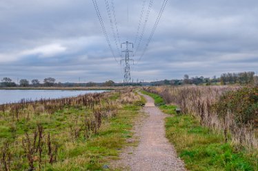 F21_8034r1 23rd November 2021: A walk through Tucklesholme Nature Reserve towards Branston: © 2020-2021 by Paul L.G. Morris.