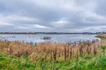 F21_8037r1x4j1 23rd November 2021: A walk through Tucklesholme Nature Reserve towards Branston: © 2020-2021 by Paul L.G. Morris.