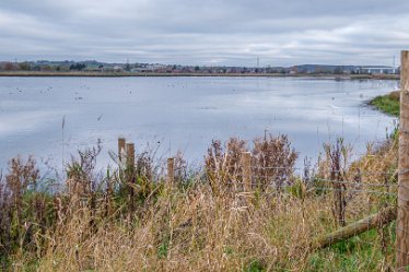 F21_8049r1 23rd November 2021: A walk through Tucklesholme Nature Reserve towards Branston: © 2020-2021 by Paul L.G. Morris.