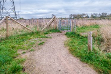 F21_8052r1 23rd November 2021: A walk through Tucklesholme Nature Reserve towards Branston: © 2020-2021 by Paul L.G. Morris.