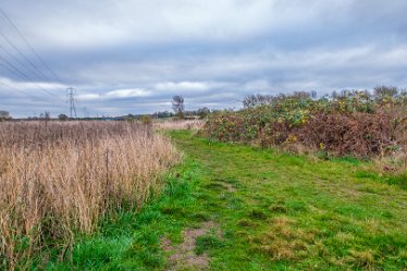 F21_8058r1 23rd November 2021: A walk through Tucklesholme Nature Reserve towards Branston: © 2020-2021 by Paul L.G. Morris.