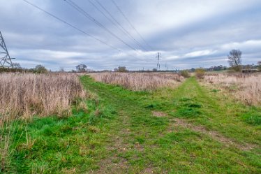 F21_8061r1 23rd November 2021: A walk through Tucklesholme Nature Reserve towards Branston: © 2020-2021 by Paul L.G. Morris.