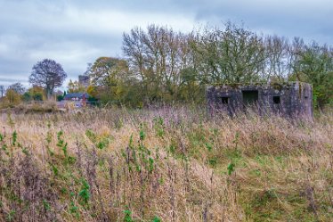 F21_8067r1 23rd November 2021: A walk through Tucklesholme Nature Reserve towards Branston: © 2020-2021 by Paul L.G. Morris.