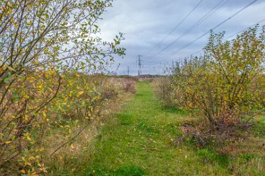 F21_8070r1 23rd November 2021: A walk through Tucklesholme Nature Reserve towards Branston: © 2020-2021 by Paul L.G. Morris.