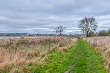 F21_8094r1 23rd November 2021: A walk through Tucklesholme Nature Reserve towards Branston: © 2020-2021 by Paul L.G. Morris.