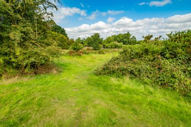 F23_2040-r1 August 2023: Anchor Church and Walk from Ingleby: © 2023 Paul L.G. MorrisThrough the bushes and then turn left