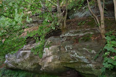 MR-DSH_2254_3230 rooting in the rock fissures September 2022: Rooting in the rock fissures: © 2022 Martin Robinson