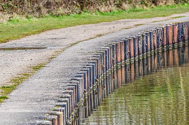 canal edge_AAA8666-1j1 21st February 2021: Armitage: © 2020-21 Jane RowbottomCanal Edge