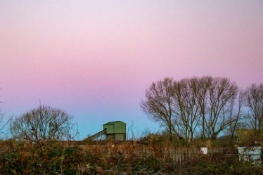 BT-IMG_6745 December 2021: Seen at Branston Leas Nature Reserve: © 2021 by Brian Triptree