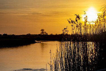 Brian-BL-to-202105_4086 © 2020-2021 by Brian Triptree: Views at Branston Leas Nature Reserve