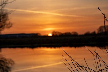 Brian-BL-to-202105_4111 © 2020-2021 by Brian Triptree: Views at Branston Leas Nature Reserve