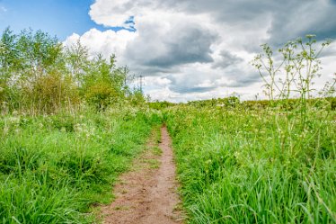 Jane-BL-18.5.21-riverbank_AAA1123-1j1 18th May 2021: © 2020-21 Jane Rowbottom: Branston Leas: Footpath