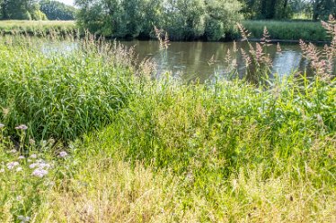 F21_3699r1 23rd June 2021: Branston Leas Nature Reserve: © Paul L.G. Morris