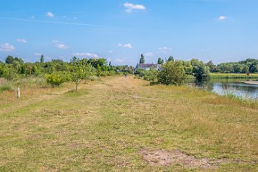 F21_3711r1 23rd June 2021: Branston Leas Nature Reserve: © Paul L.G. Morris