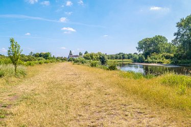 F21_3720r1x2r1 23rd June 2021: Branston Leas Nature Reserve: © Paul L.G. Morris