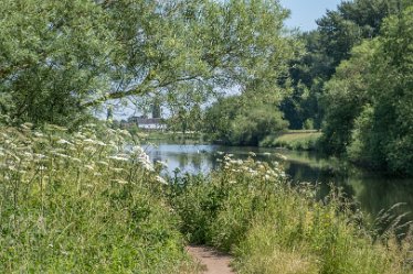 F21_3783r1 23rd June 2021: Branston Leas Nature Reserve: © Paul L.G. Morris