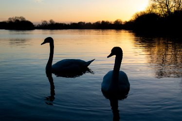 BT_IMG_8016 Branston Water Park Q1: © 2022 by Brian Triptree