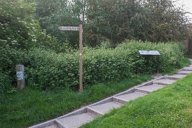 DC_aIMG_0417 12th June 2021: Brizlincote Nature Walk: © David Cowper 2021