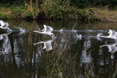 DC-aIMG_2421 11th October 2021: Burton-on-Trent Views: © 2021 by David Cowper