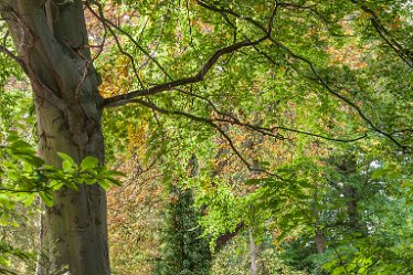 DC-aIMG_2452 11th October 2021: Burton-on-Trent Views: © 2021 by David Cowper