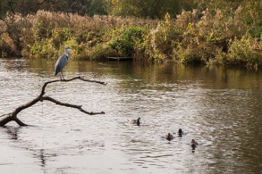 DC-aIMG_2494 11th October 2021: Burton-on-Trent Views: © 2021 by David Cowper