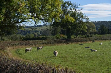 MR_DSH_2866_3331 Rising land beyond the river valley Confluence of Churnet _ Dove: © 2022 Martin Robinson: Rising land beyond the river valley