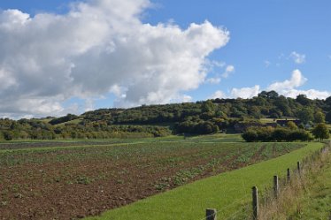 MR_DSH_2896_3346 Crop trials affected by Summer drought Confluence of Churnet _ Dove: © 2022 Martin Robinson: Crop trials affected by Summer drought