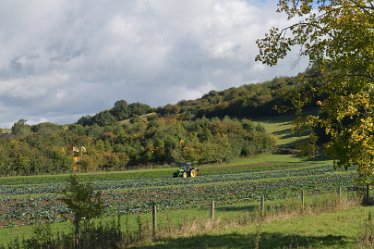 MR_DSH_2901_3348 Crop Trials Confluence of Churnet _ Dove: © 2022 Martin Robinson: Crop Trials