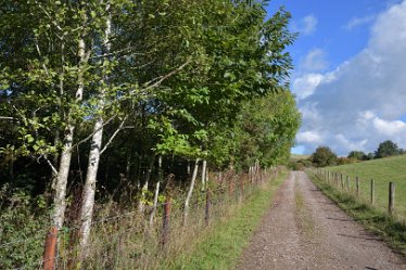 MR_DSH_2906_3351 mixed woodland copse near SedsallJPG Confluence of Churnet _ Dove: © 2022 Martin Robinson: mixed woodland copse near Sedsall