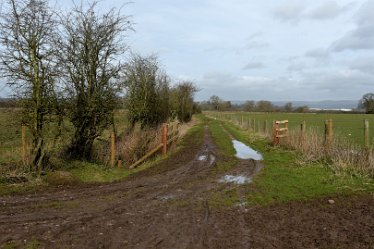 MR_DSG_1051_431 Staffs Way Doveridge Gun Club to Bridge 26th February: © 2022 Martin Robinson