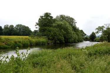 MR_DSF_1073 20th June 2021: © 2021 Martin Robinson: Doveridge to Uttoxeter circular walk