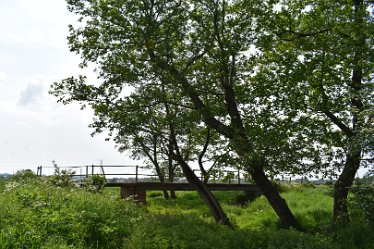 JC-DSC_0442 1st June 2021: © Julie Clark: River bridges near Doveridge village