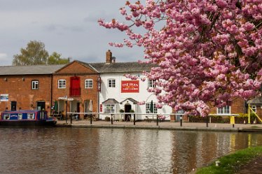 DC-aIMG_2462 April 2021: Wychnor Fradley Circular Walk: © David Cowper 2021