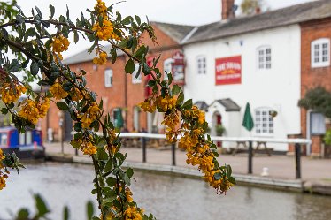 DC-aIMG_2479 April 2021: Wychnor Fradley Circular Walk: © David Cowper 2021