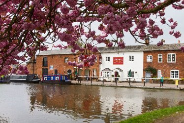 DC-aaIMG_2475 April 2021: Wychnor Fradley Circular Walk: © David Cowper 2021