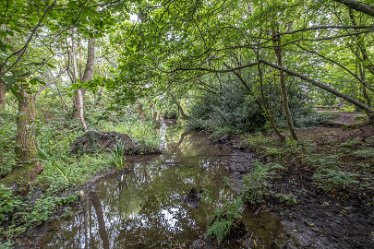 F21_4641r1 August 2021: Fradley Junction and Pool: © 2021 Paul L.G. Morris