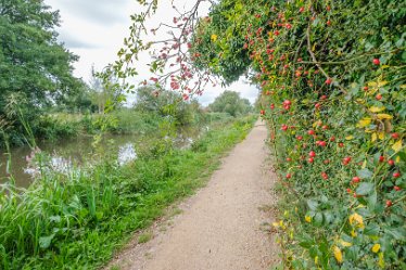 F21_7092r1 Fradley Junction to Alrewas canalside walk. September 2021: Paul L.G. Morris