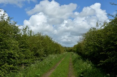 MR-DSE_0052 16th May 2021: Fradley Alrewas Wychnor circular walk: © 2021 Martin Robinson