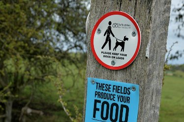 MR-DSE_0062 16th May 2021: Fradley Alrewas Wychnor circular walk: © 2021 Martin Robinson