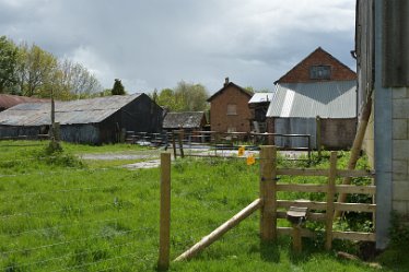 MR-DSE_0087 16th May 2021: Fradley Alrewas Wychnor circular walk: © 2021 Martin Robinson