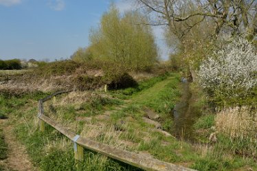 MR-DSE_9398 17th April 2021: Hatton-Rolleston Circular Walk: © 2020-2021 Martin Robinson